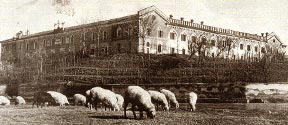 La Fondazione